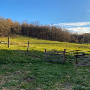 Meet your Posher, Wolfeye